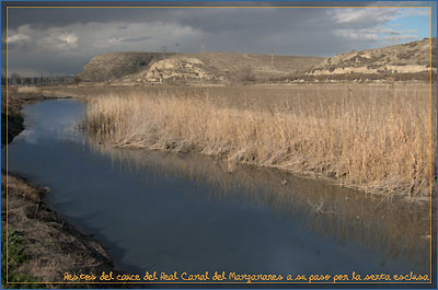 Parque Lineal del Manzanares