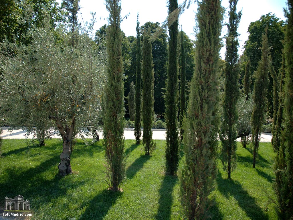 Bosque de los Ausentes