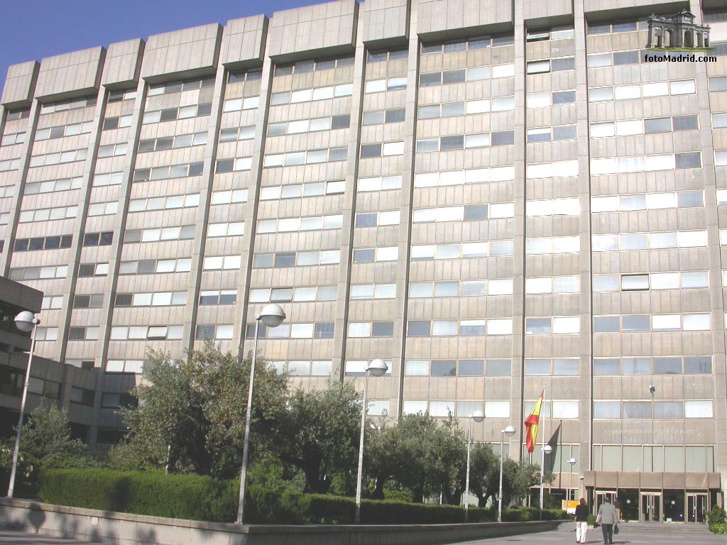 Ministerio de Ciencia y Tecnolog�a