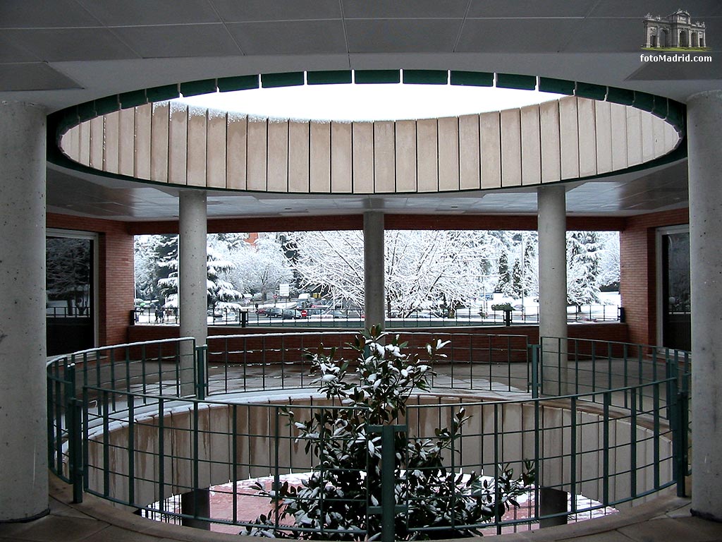 Jard�n bot�nico Alfonso XIII nevado