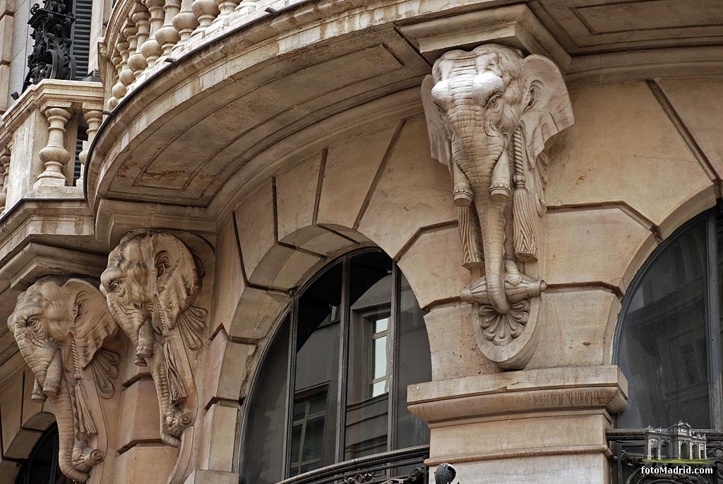 M�nsulas con forma de elefante