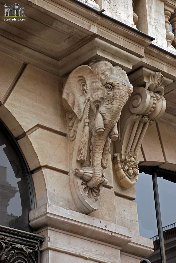 M�nsulas con forma de elefante