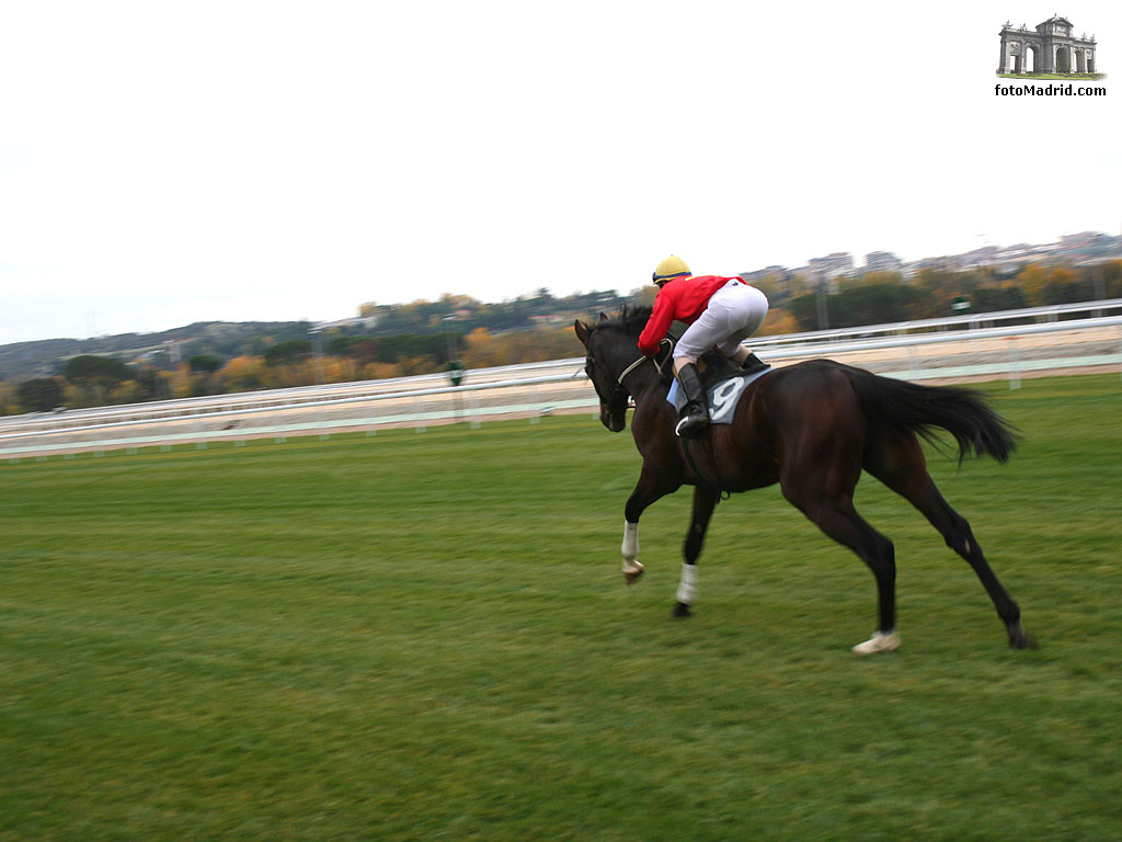 Hip�dromo de Madrid